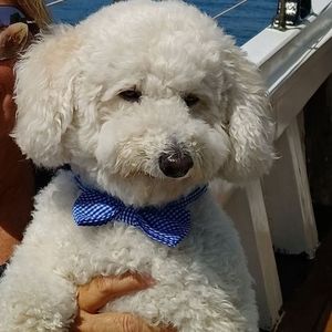 Meet your Posher, Karen